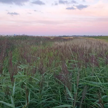 Seaside Luxury Retreat - By Traum * Haderslev