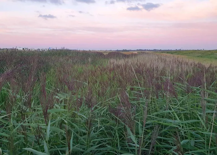 Seaside Luxury Retreat - By Traum * Haderslev